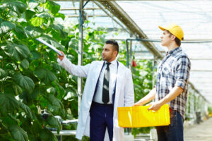 Corvalent Industry News 4 Agricultural Enterprises Boost Yields with Smart Irrigation